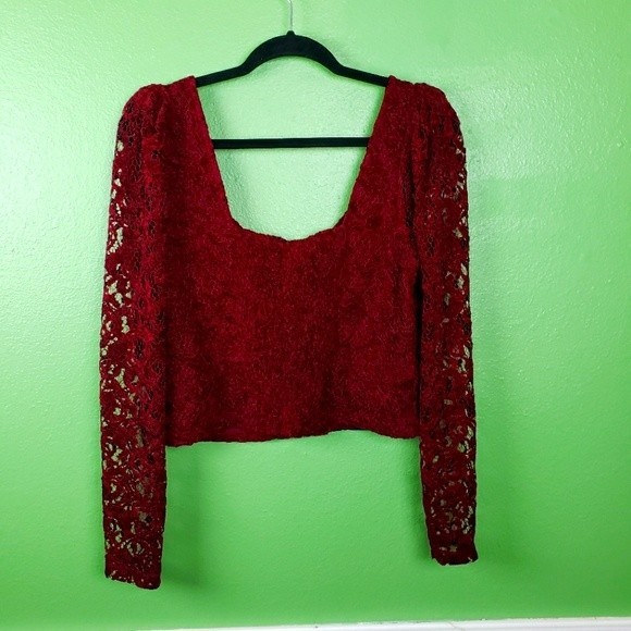 Anthropologie Tops - Anthropologie Red Crush Velvet Lace Crop Top Size Medium